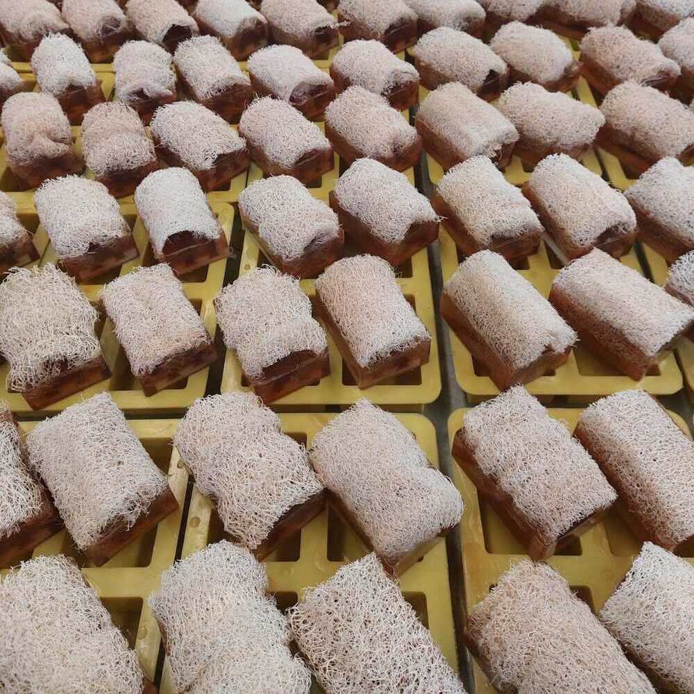 Doğal Kabak Lifli Sabunlar